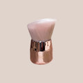 Gold Standard Gold Standard Kit